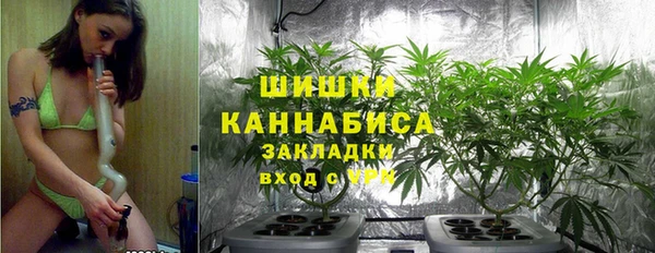 Альфа ПВП Арсеньев