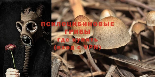 Альфа ПВП Арсеньев