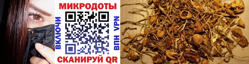 ссылка на мегу маркетплейс  где купить наркотик  Сатка  Псилоцибиновые грибы Magic Shrooms 