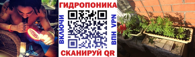 Бошки марихуана VHQ Сатка